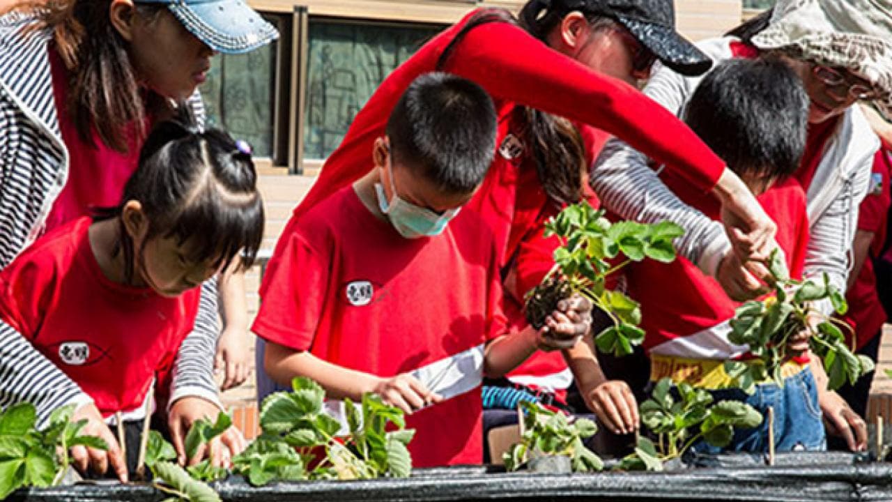 Children and adults in red shirts plant seedlings in a garden area outside. Some children wear masks.