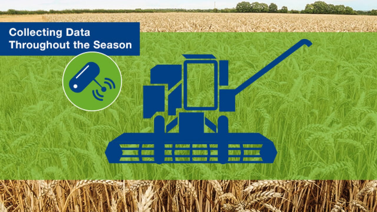 Illustration of a combine harvester over a wheat field with text "Collecting Data Throughout the Season" and an icon of a data sensor.
