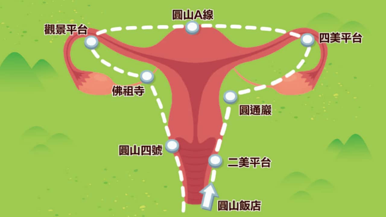 路跑「子宮地圖」