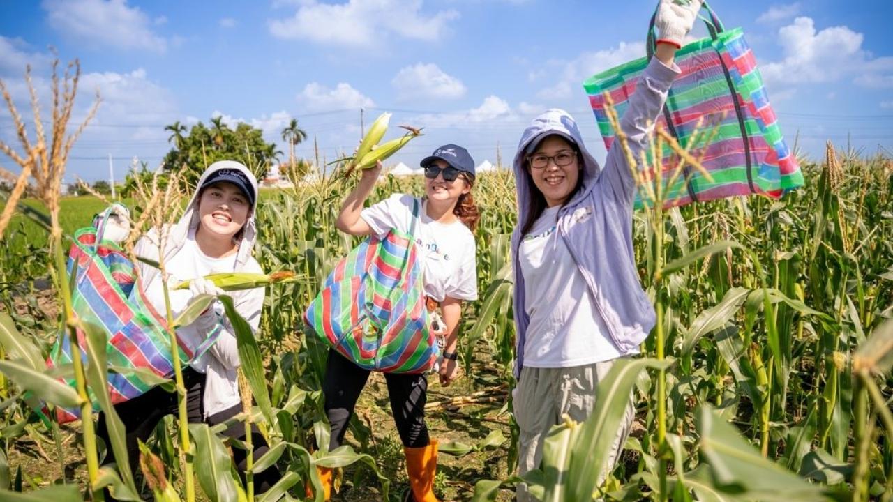 Bayer employees showing corn harvesting result