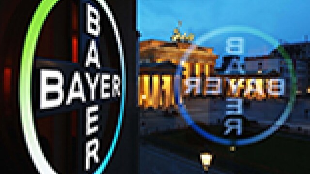 Bayer logo illuminated against a cityscape backdrop at dusk, reflecting in a window.