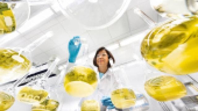 A scientist in a lab coat and gloves inspects a yellow liquid in a flask. Various flasks filled with yellow liquid surround her in a bright laboratory setting.