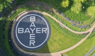bayer headquarters 
