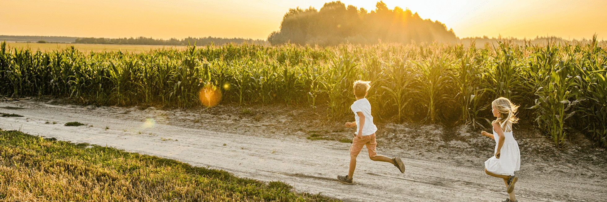 Two children run along a dirt path next to a cornfield under a setting sun.