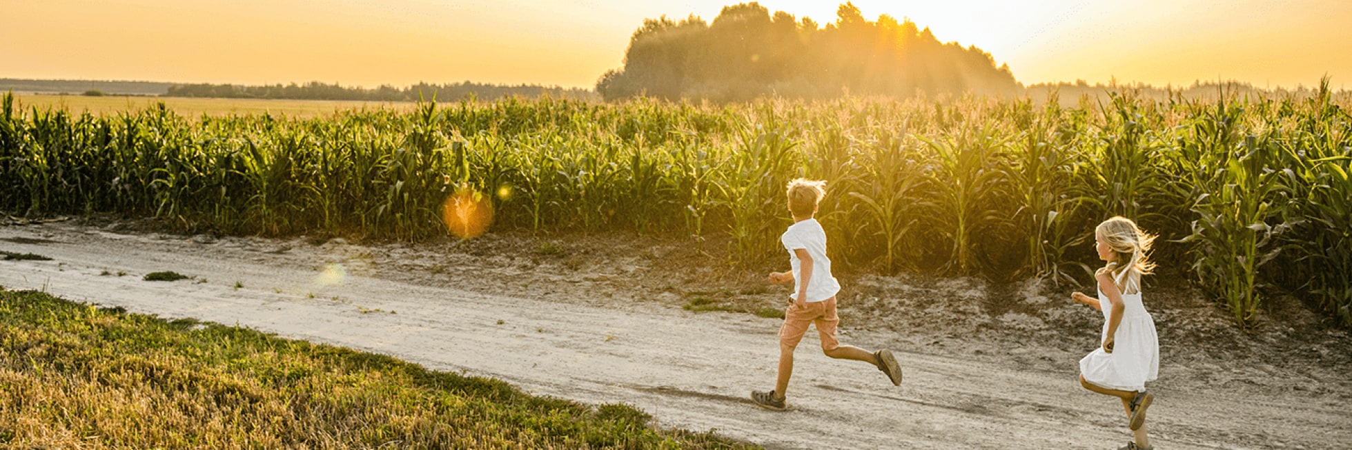 Two children run along a dirt path next to a cornfield under a setting sun.