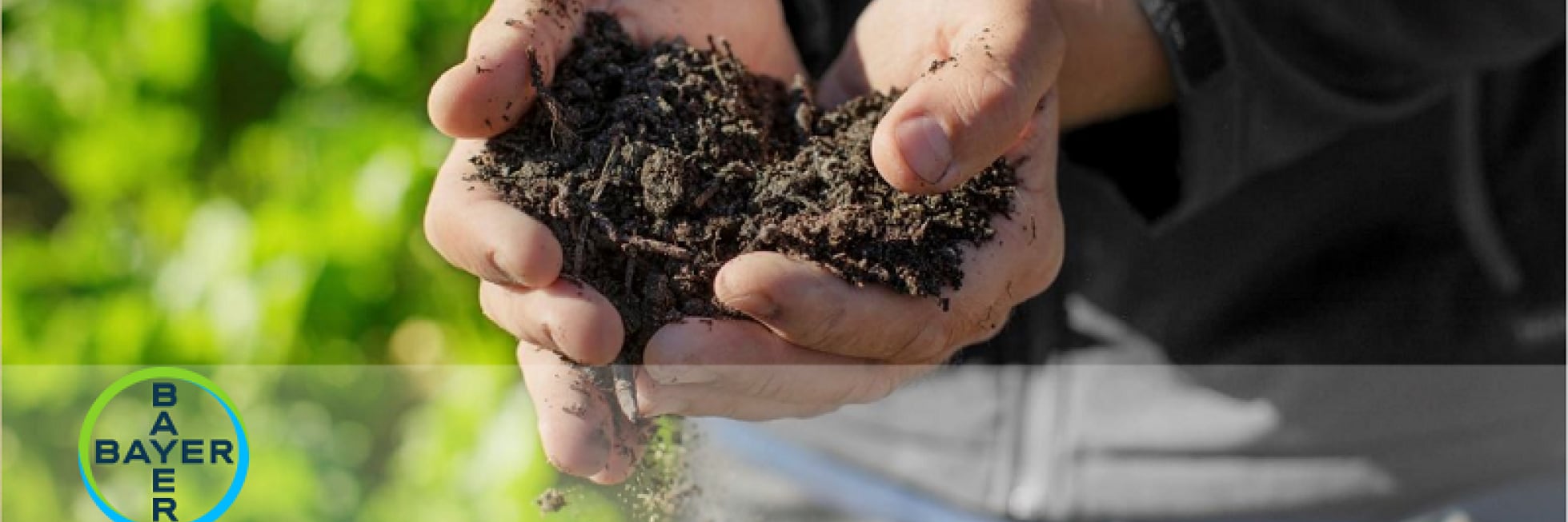 Close-up of hands holding dark soil with a blurred green background. The Bayer logo is visible in the bottom left corner.